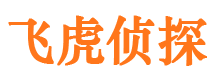 江阳外遇调查取证